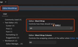 VSCode自动换行设置方法Editor:WordWrap